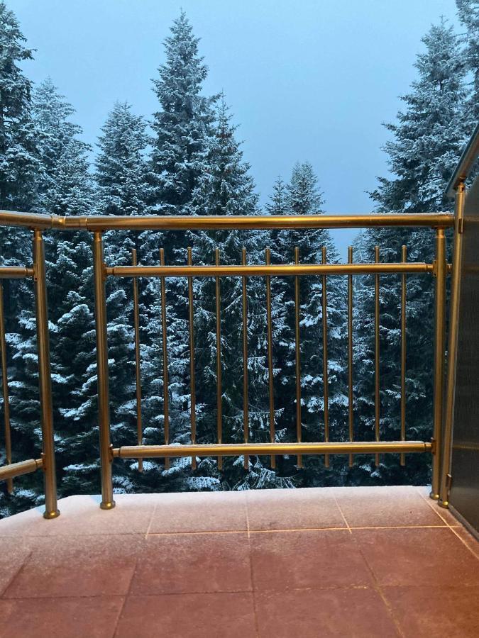Flora Apartment 613 Borovets Esterno foto